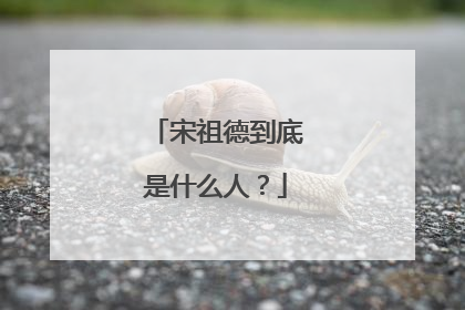 宋祖德到底是什么人？