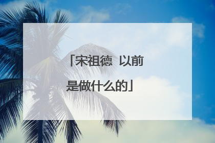 宋祖德 以前是做什么的