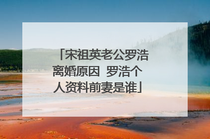 宋祖英老公罗浩离婚原因 罗浩个人资料前妻是谁