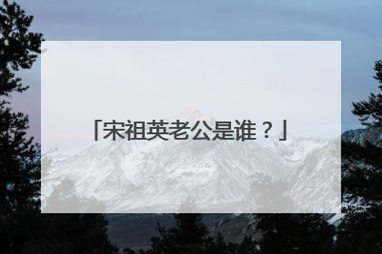 宋祖英老公是谁?