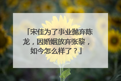 宋佳为了事业抛弃陈龙，因婚姻放弃张黎，如今怎么样了？