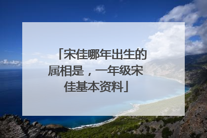 宋佳哪年出生的属相是,一年级宋佳基本资料