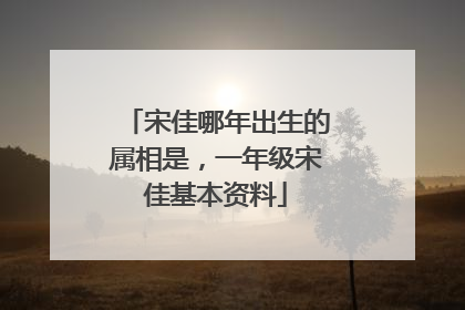 宋佳哪年出生的属相是,一年级宋佳基本资料