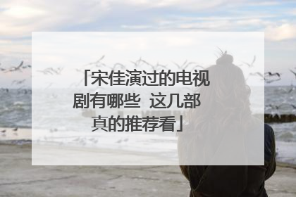 宋佳演过的电视剧有哪些 这几部真的推荐看