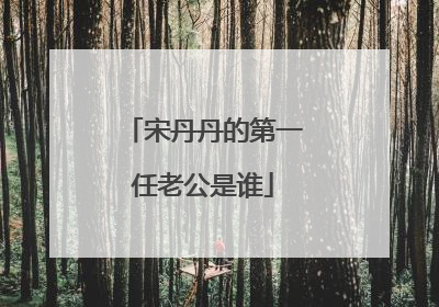 宋丹丹的第一任老公是谁