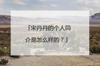 宋丹丹的个人简介是怎么样的？