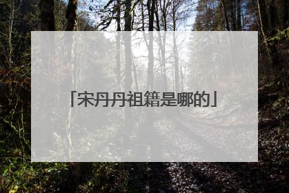 宋丹丹祖籍是哪的