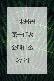 宋丹丹第一任老公叫什么名字