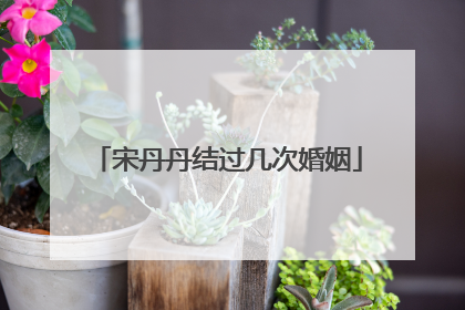 宋丹丹结过几次婚姻