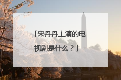 宋丹丹主演的电视剧是什么？