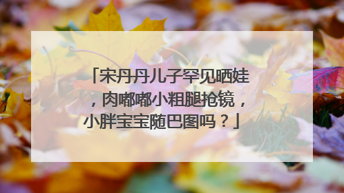 宋丹丹儿子罕见晒娃，肉嘟嘟小粗腿抢镜，小胖宝宝随巴图吗？