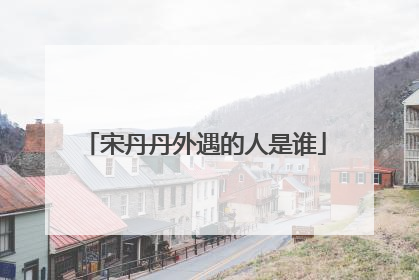 宋丹丹外遇的人是谁