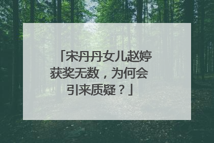 宋丹丹女儿赵婷获奖无数，为何会引来质疑？