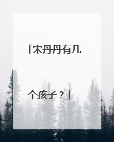 宋丹丹有几个孩子?