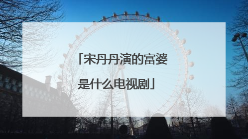 宋丹丹演的富婆是什么电视剧