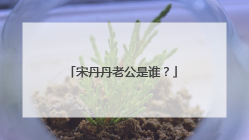 宋丹丹老公是谁？