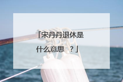 宋丹丹退休是什么意思 ？