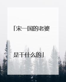 宋一国的老婆是干什么的