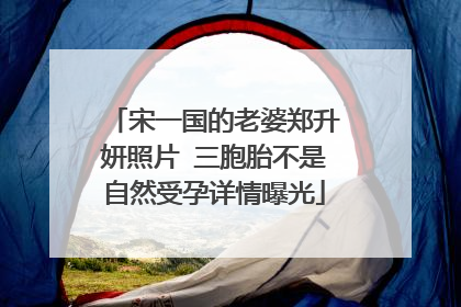 宋一国的老婆郑升妍照片 三胞胎不是自然受孕详情曝光