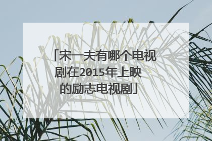 宋一夫有哪个电视剧在2015年上映的励志电视剧