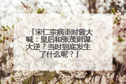 宋仁宗病重时曾大喊：皇后和张茂则谋大逆？当时到底发生了什么呢？