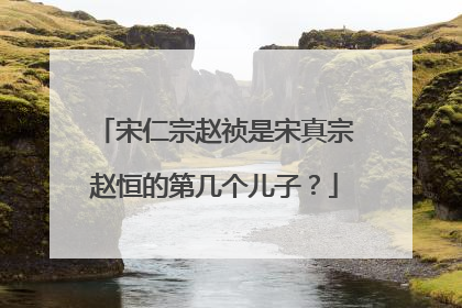 宋仁宗赵祯是宋真宗赵恒的第几个儿子？