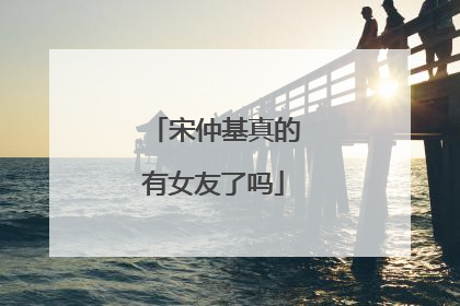 宋仲基真的有女友了吗