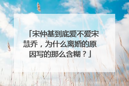 宋仲基到底爱不爱宋慧乔,为什么离婚的原因写的那么含糊?