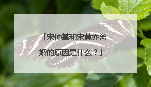 宋仲基和宋慧乔离婚的原因是什么？