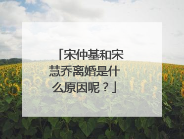 宋仲基和宋慧乔离婚是什么原因呢？