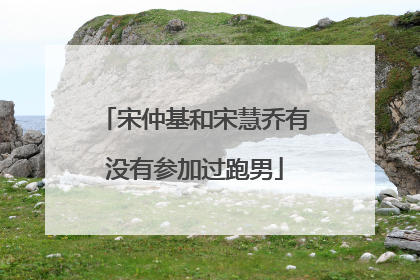 宋仲基和宋慧乔有没有参加过跑男