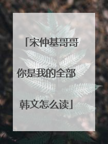 宋仲基哥哥你是我的全部韩文怎么读