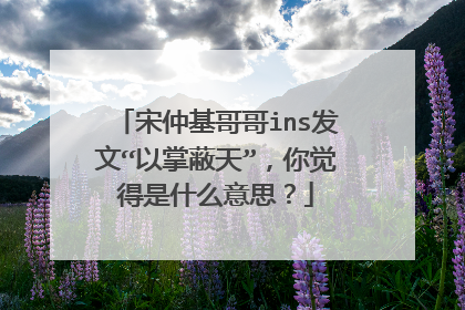 宋仲基哥哥ins发文“以掌蔽天”，你觉得是什么意思？