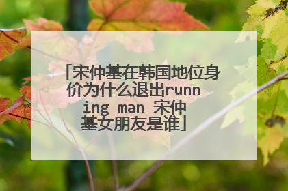 宋仲基在韩国地位身价为什么退出running man 宋仲基女朋友是谁