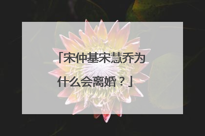 宋仲基宋慧乔为什么会离婚?