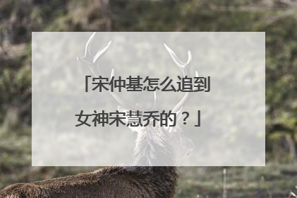 宋仲基怎么追到女神宋慧乔的？