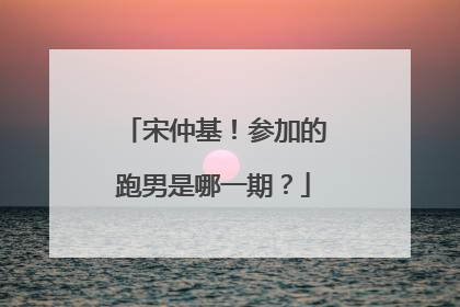 宋仲基!参加的跑男是哪一期?