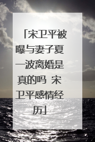 宋卫平被曝与妻子夏一波离婚是真的吗 宋卫平感情经历