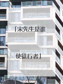 宋先生是谁 使徒行者