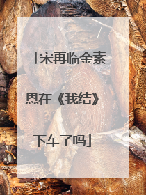 宋再临金素恩在《我结》下车了吗