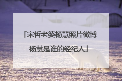宋哲老婆杨慧照片微博 杨慧是谁的经纪人