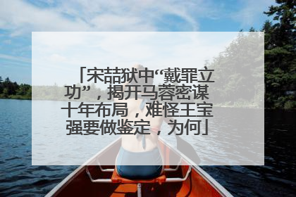 宋喆狱中“戴罪立功”，揭开马蓉密谋十年布局，难怪王宝强要做鉴定，为何