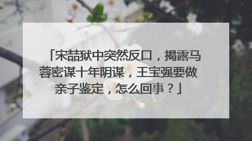 宋喆狱中突然反口，揭露马蓉密谋十年阴谋，王宝强要做亲子鉴定，怎么回事？