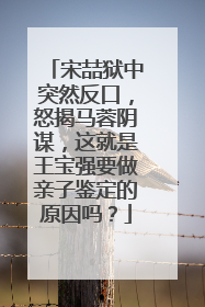 宋喆狱中突然反口,怒揭马蓉阴谋,这就是王宝强要做亲子鉴定的原因吗?