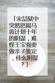 宋喆狱中突然怒揭马蓉计划十年的阴谋，难怪王宝强要做亲子鉴定，什么阴谋？