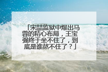 宋喆监狱中爆出马蓉的精心布局，王宝强终于坐不住了，到底是谁熬不住了？