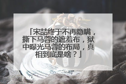 宋喆终于不再隐瞒，撕下马蓉的遮羞布，狱中曝光马蓉的布局，真相到底是啥？