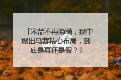 宋喆不再隐瞒，狱中爆出马蓉精心布局，到底是真还是假？