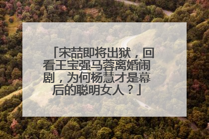 宋喆即将出狱，回看王宝强马蓉离婚闹剧，为何杨慧才是幕后的聪明女人？