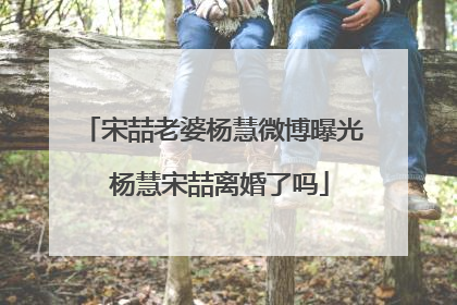 宋喆老婆杨慧微博曝光 杨慧宋喆离婚了吗